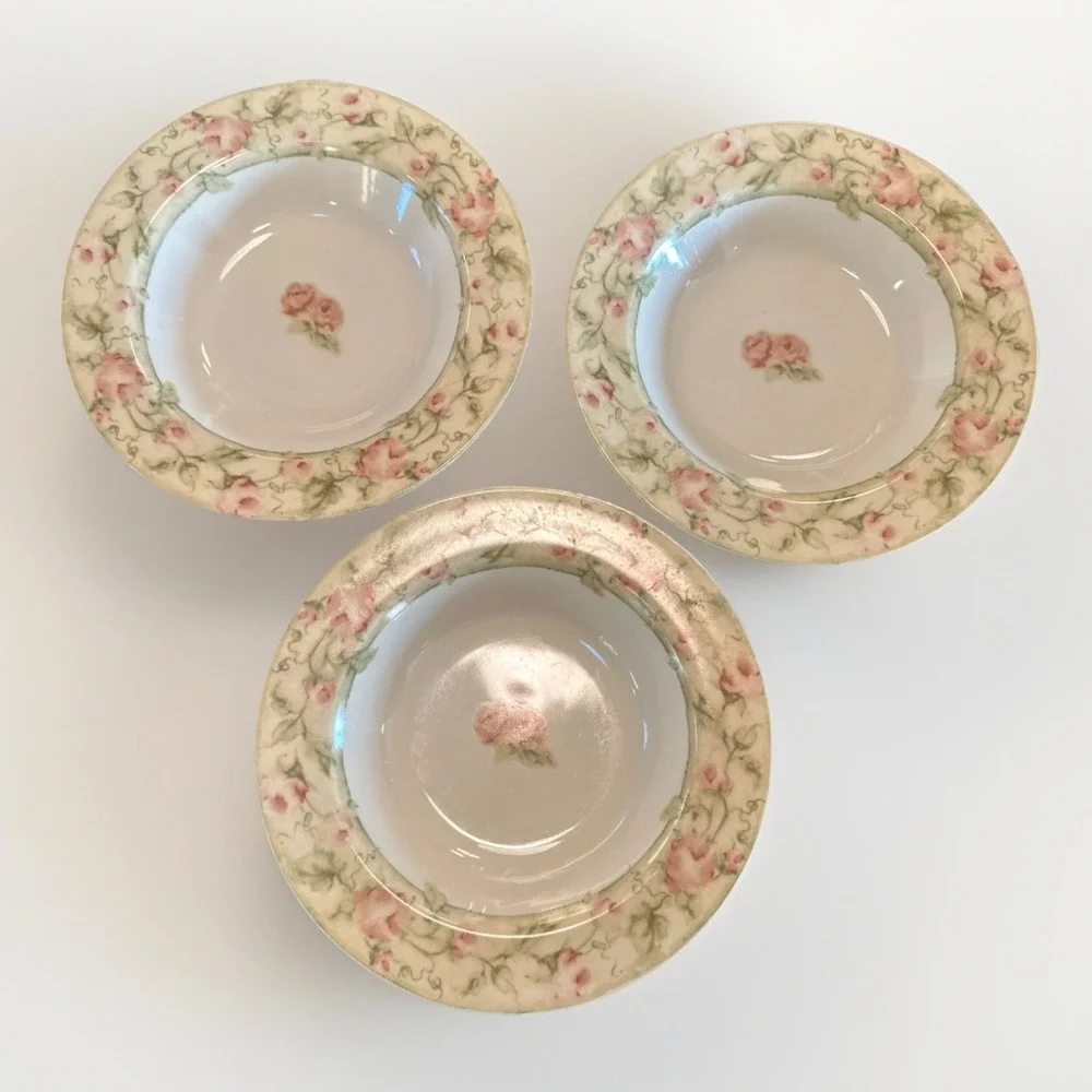 CHERI BLUM For 222 FIFTH Floral Rimmed 9